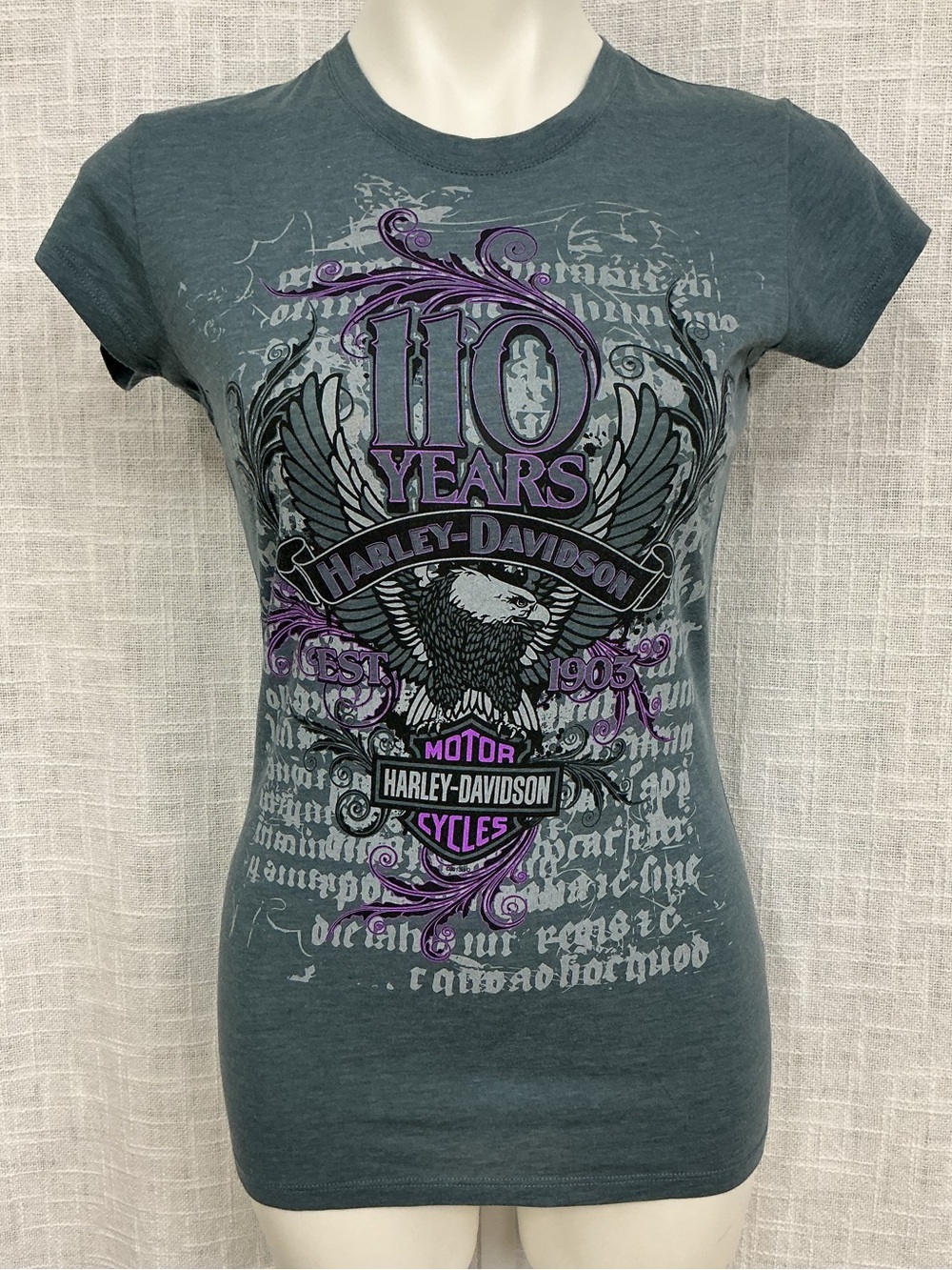 Harley-Davidson Gray T-Shirt with Purple & Black 110 Years Eagle Graphic